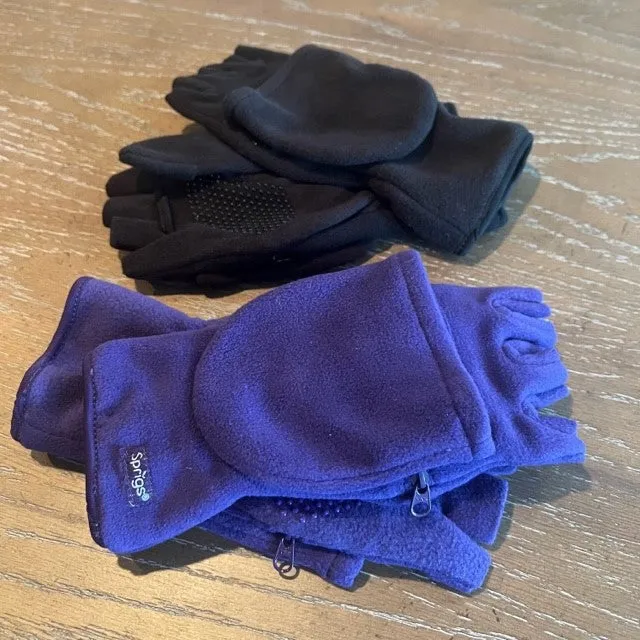 Sprigs Set of 2 Multi-Mitts Gloves